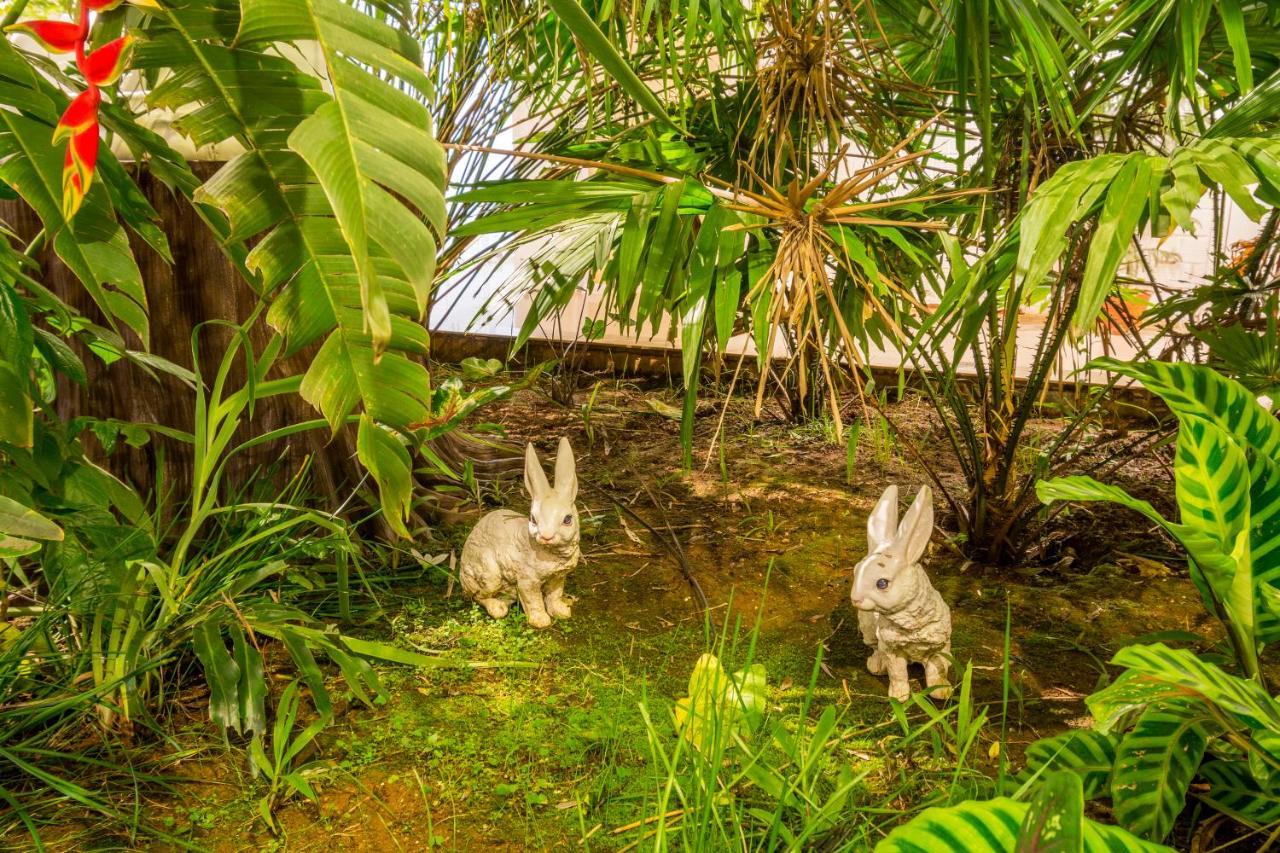 Casa Holiday Resorts Araku Eksteriør bilde